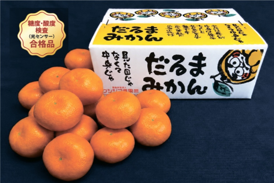 だるまみかん