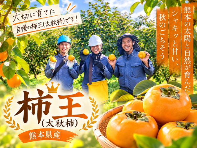 柿王太秋柿