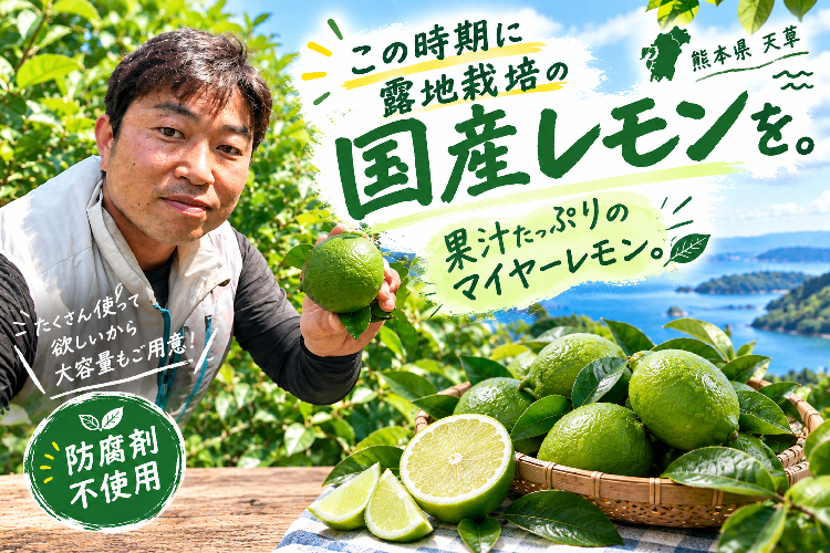 小松山さんレモン