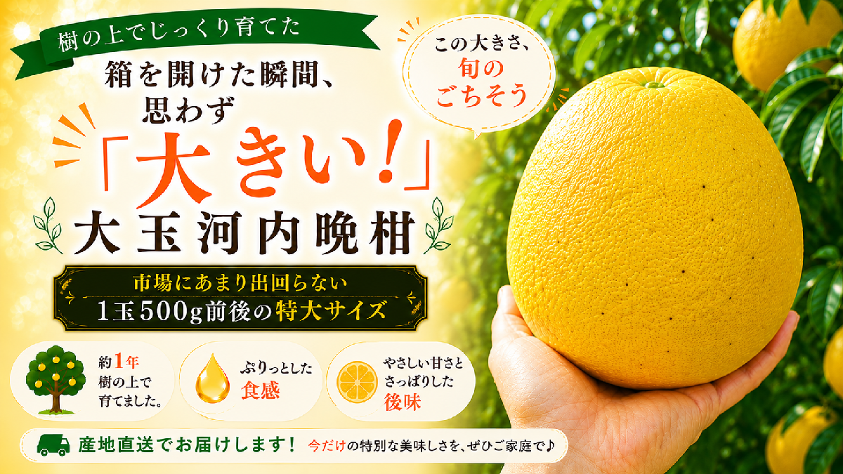 大玉河内晩柑