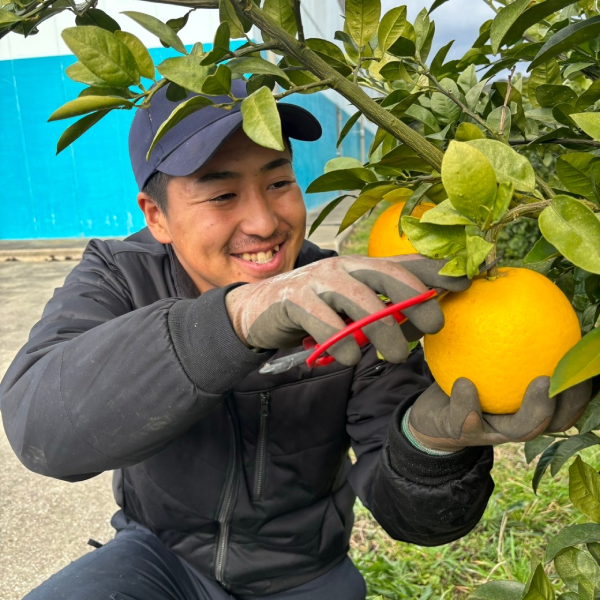 山崎 陽介