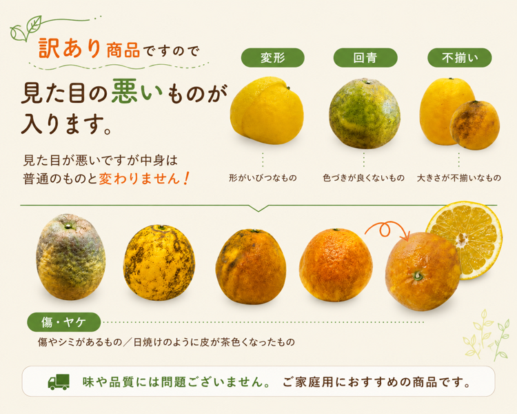 わんぱく晩柑提供商品例1