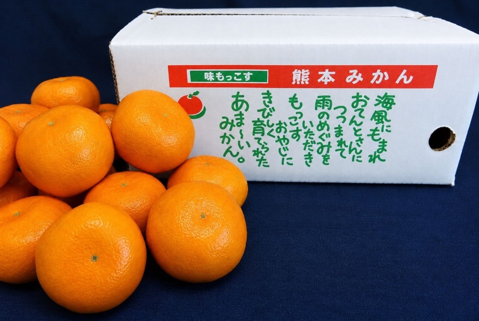 もっこすみかん