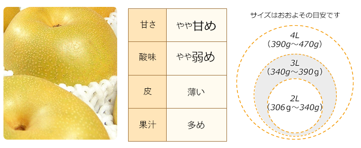 もんく梨の説明