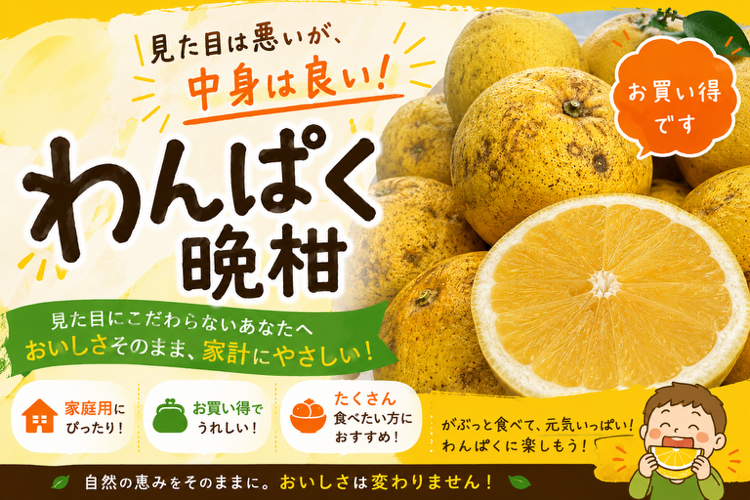 わんぱく晩柑 見た目は悪いが中身は良い!