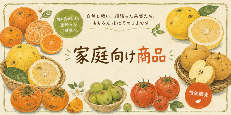 家庭向け商品。