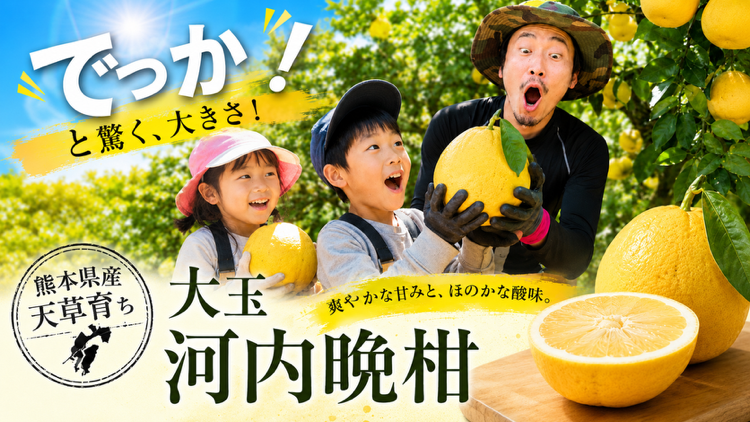 大玉河内晩柑