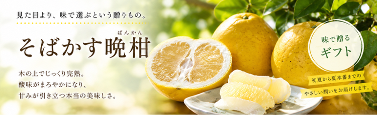 そばかす晩柑-味ギフト